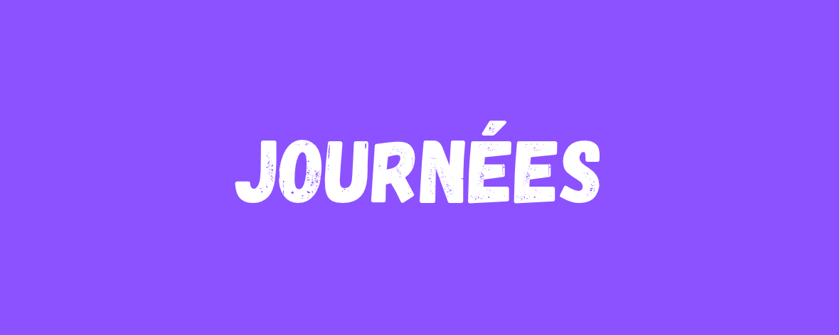Stage de la toussaint (journées)